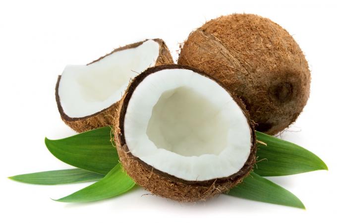 coconut-2